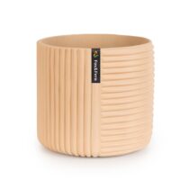 Fox & Fern Hasselt kvetináč